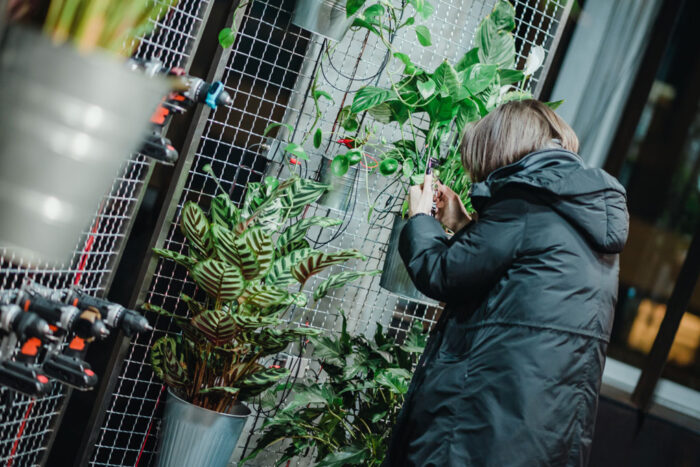 Špela Petrič and her plant-human embryos : Makery