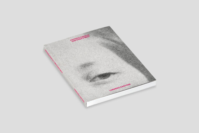 Patrizia Cavalli. Che cosa è mio?